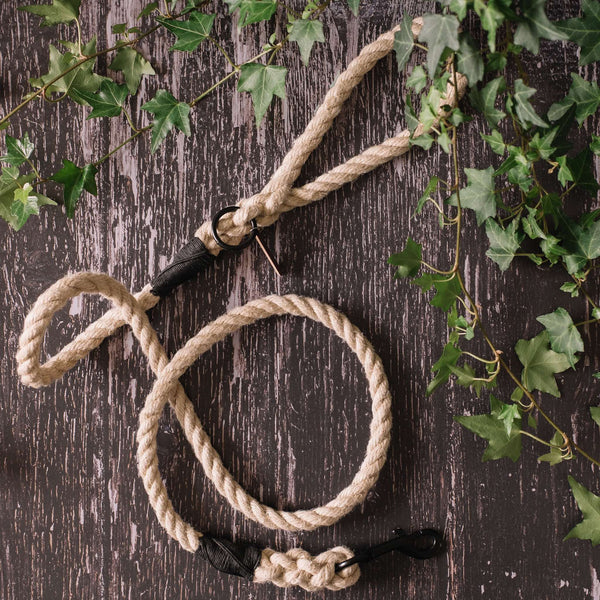 Natural rope dog sales leads uk